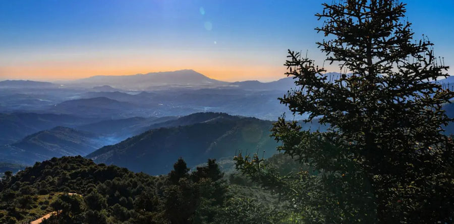 visit Sierra de las Nieves