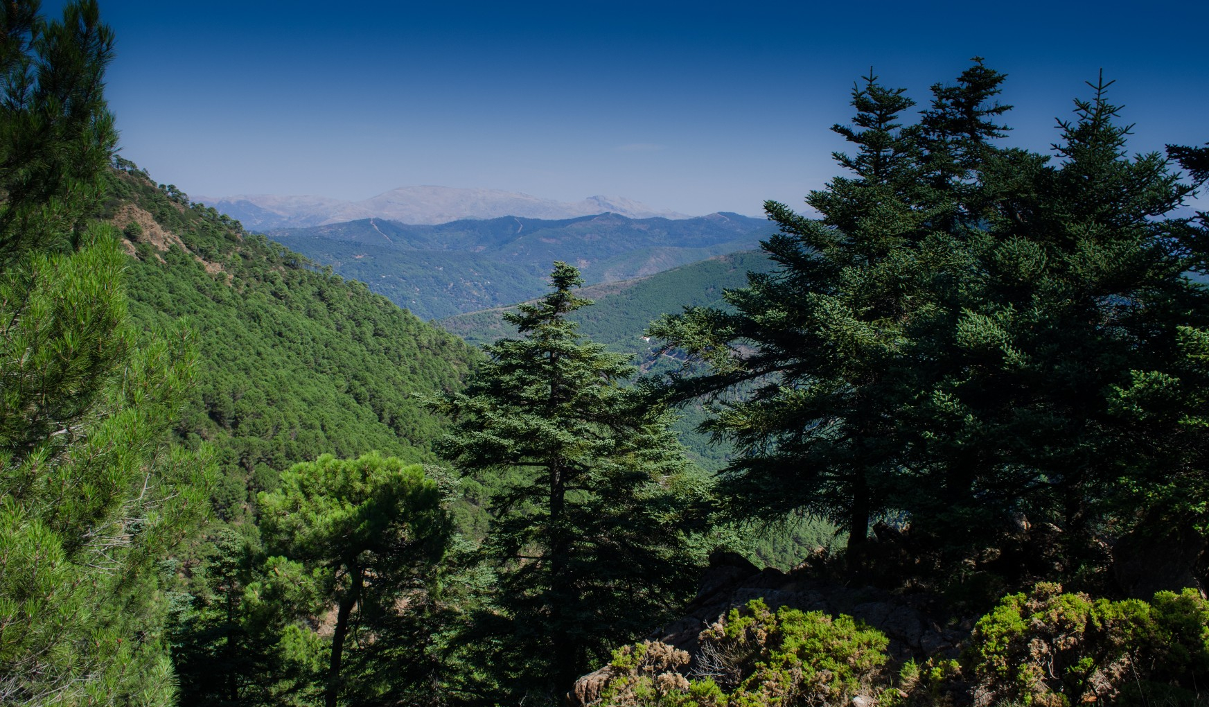 Exploring Sierra de las Nieves