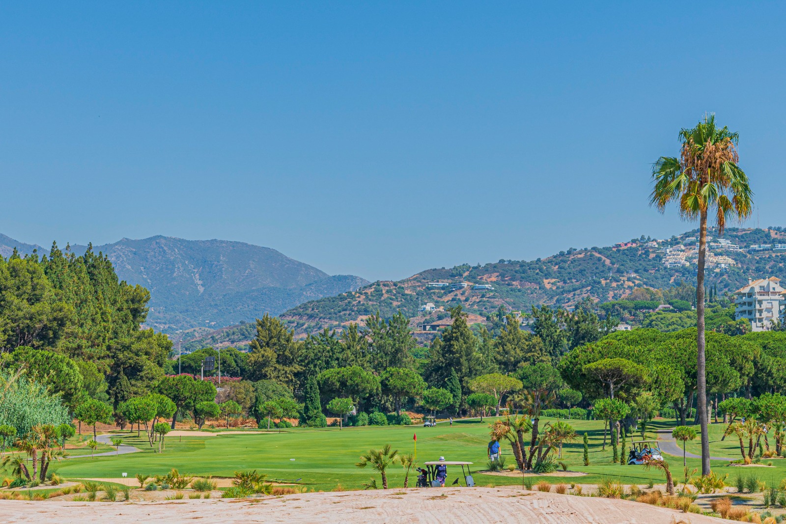 Río Real (Marbella) Guide Golf